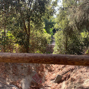 Meet your Posher, Denisse